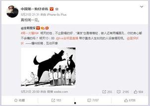 卓伟爆料最新电视剧,神秘新剧来袭，剧情悬疑反转不断