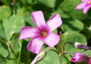 和平小花花爆料视频 第3张 和平小花花爆料视频 第3张